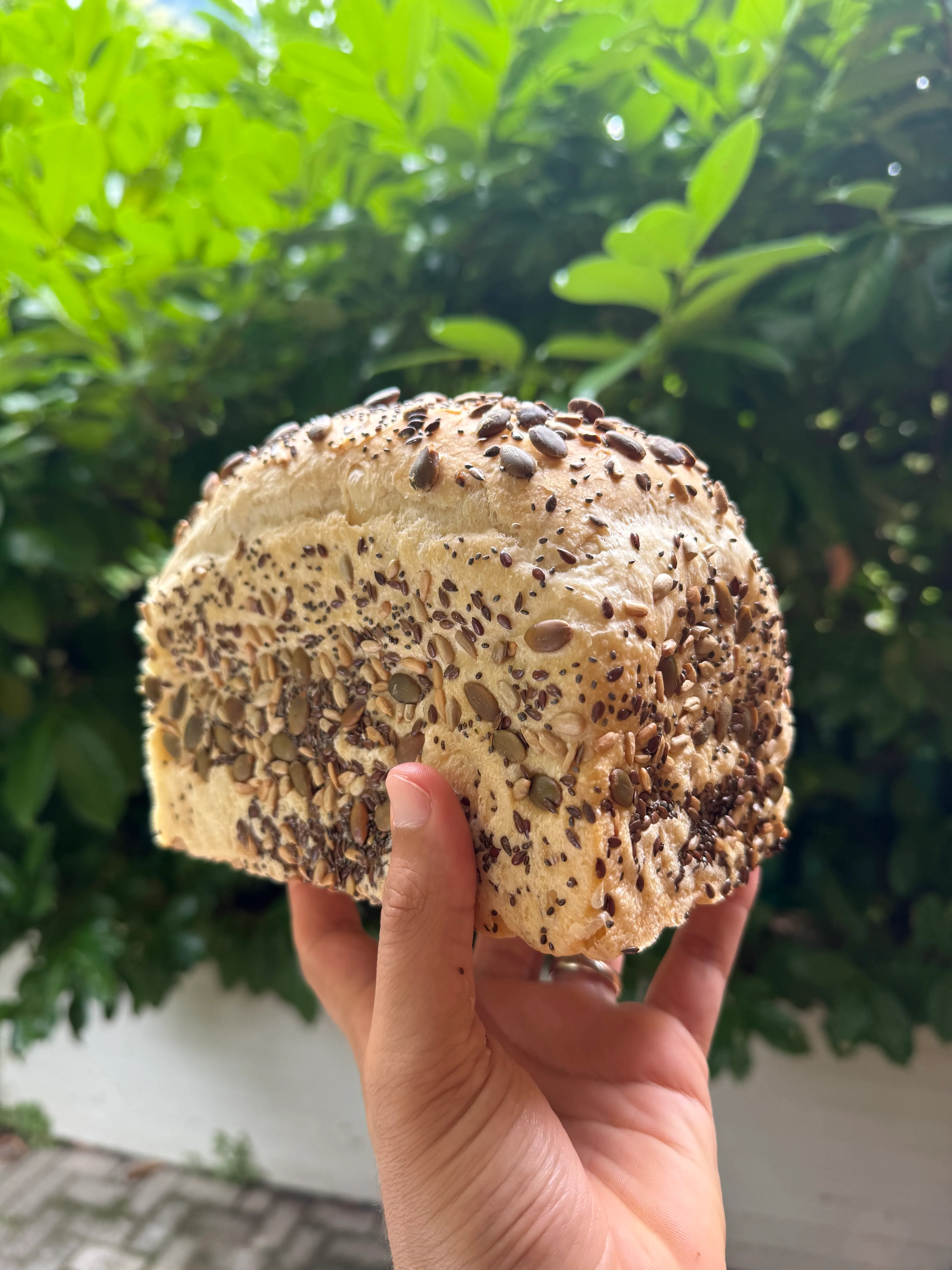 Pan bauletti